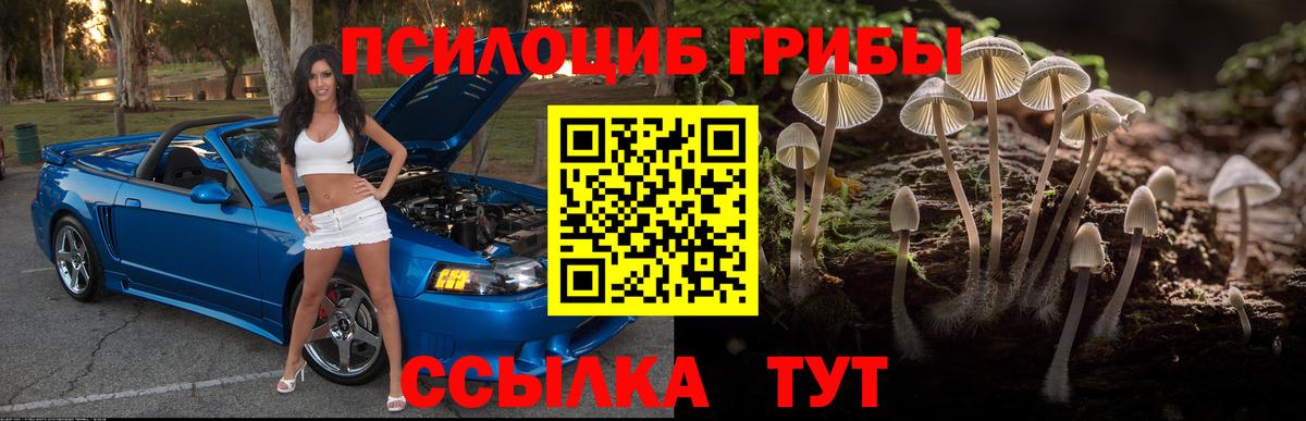 Псилоцибиновые грибы мухоморы  Вход с VPN  Семёнов  Галлюциногенные грибы Psilocybine cubensis 